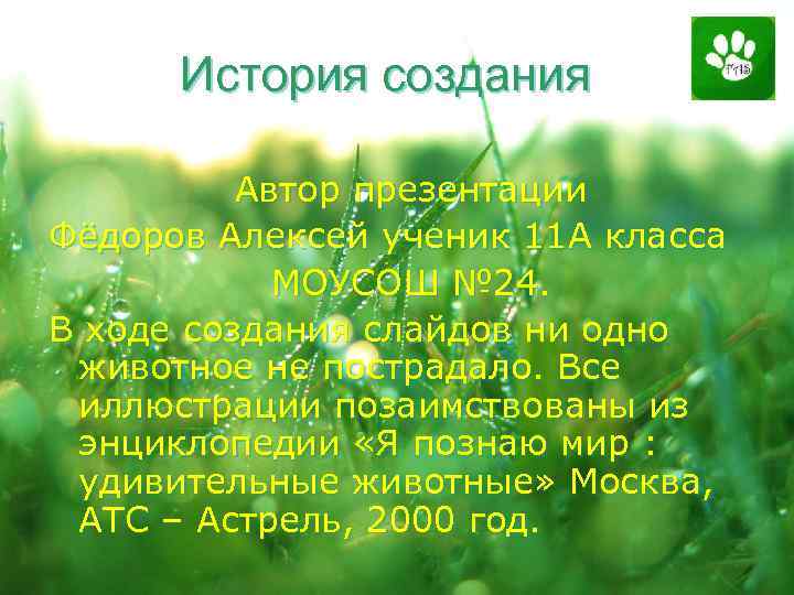 История создания Автор презентации Фёдоров Алексей ученик 11 А класса МОУСОШ № 24. В