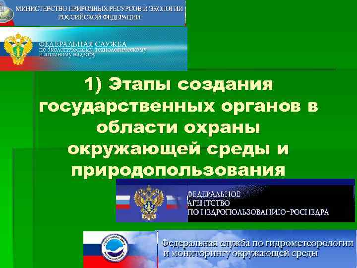 1) Этапы создания государственных органов в области охраны окружающей среды и природопользования 