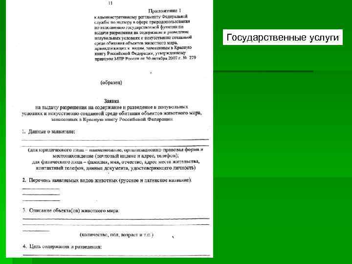 Государственные услуги 