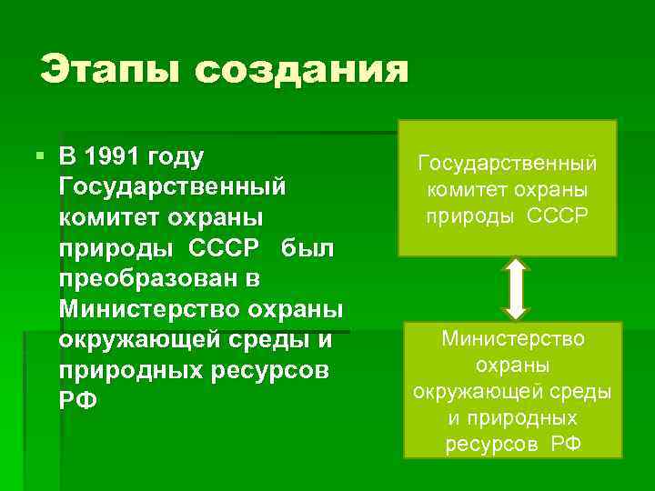 Этапы создания § В 1991 году Государственный комитет охраны природы СССР был преобразован в