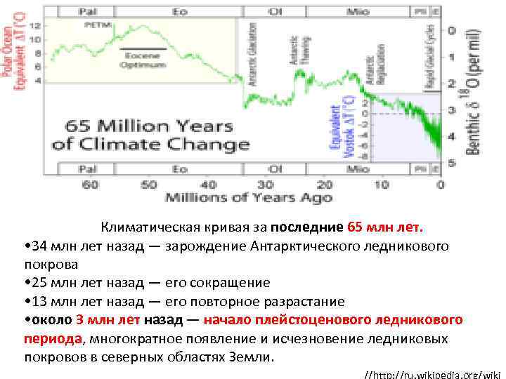  Климатическая кривая за последние 65 млн лет. • 34 млн лет назад —
