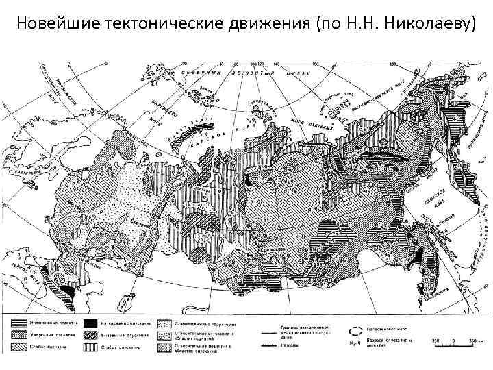 Новейшие тектонические движения (по Н. Н. Николаеву) 