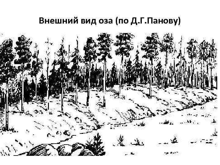 Внешний вид оза (по Д. Г. Панову) 