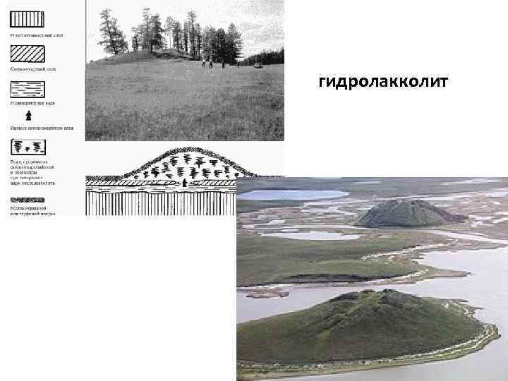 гидролакколит 