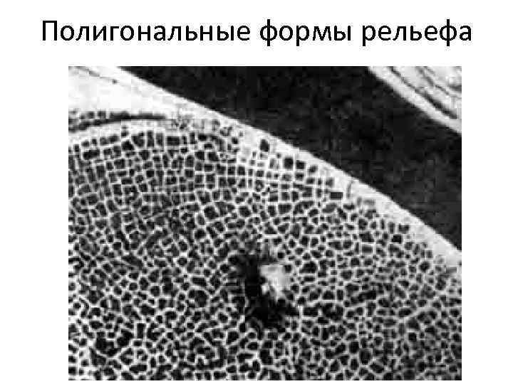 Полигональные формы рельефа 