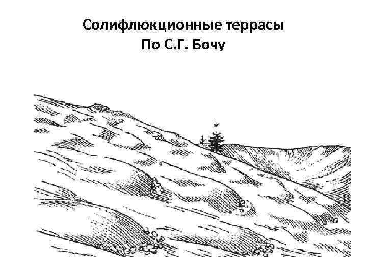 Солифлюкционные террасы По С. Г. Бочу 