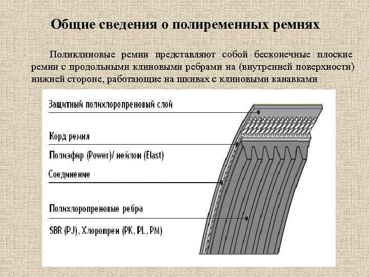   Общие сведения о полиременных ремнях  Поликлиновые ремни представляют собой бесконечные плоские