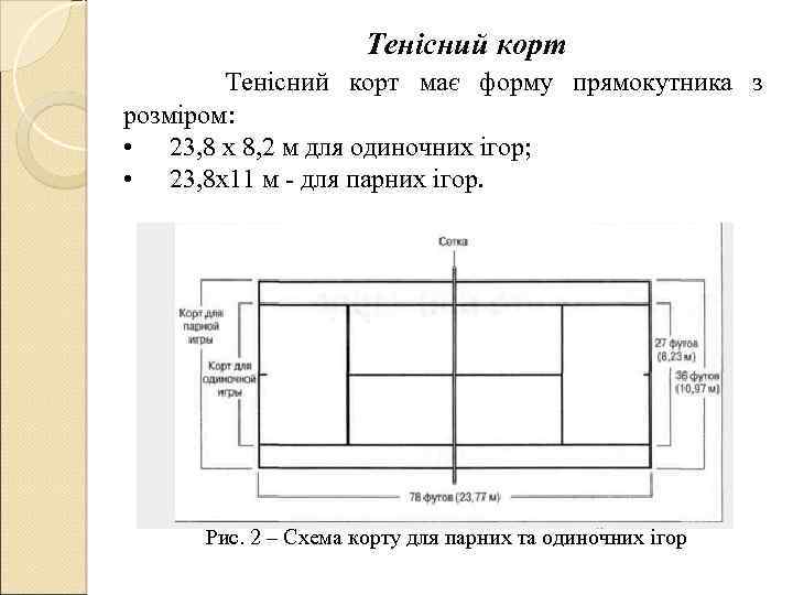 Тенісний корт має форму прямокутника з розміром: • 23, 8 х 8, 2 м