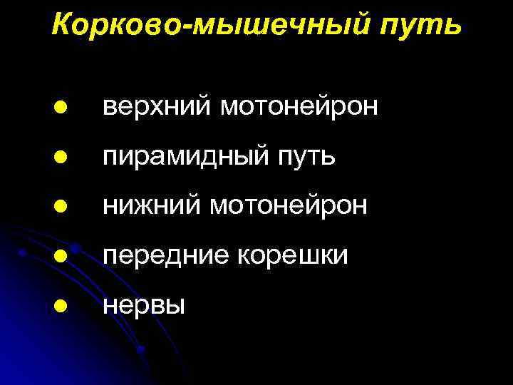 Корково-мышечный путь l верхний мотонейрон l пирамидный путь l нижний мотонейрон l передние корешки