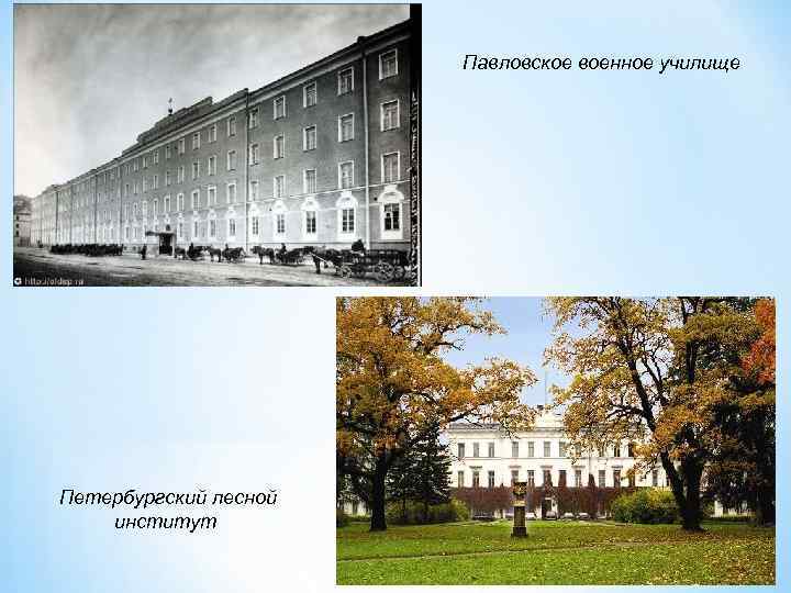     Павловское военное училище Петербургский лесной институт 