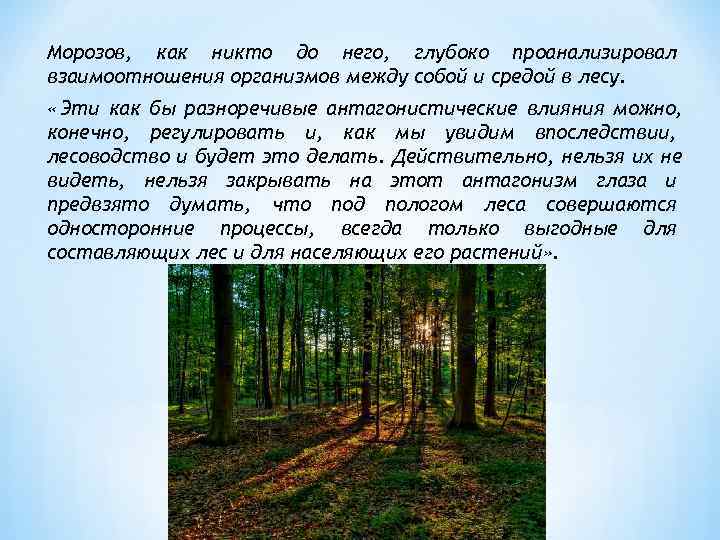 Морозов, как никто до него, глубоко проанализировал взаимоотношения организмов между собой и средой в