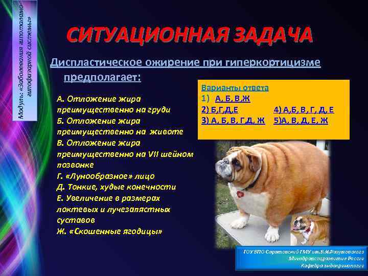 Модуль: «Заболевания гипоталамогипофизарной системы» СИТУАЦИОННАЯ ЗАДАЧА Диспластическое ожирение при гиперкортицизме предполагает: А. Отложение жира