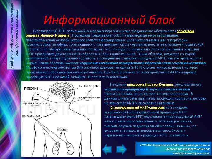 Модуль: «Заболевания гипоталамогипофизарной системы» Информационный блок Гипофизарный АКТГ-зависимый синдром гиперкортицизма традиционно обозначается термином болезнь
