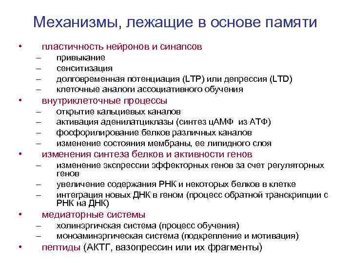 Механизмы, лежащие в основе памяти • пластичность нейронов и синапсов – Механизмы, лежащие в основе памяти • пластичность нейронов и синапсов –