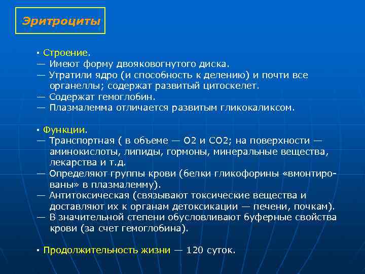 Эритроциты ▪ Строение. — Имеют форму двояковогнутого диска. — Утратили ядро (и способность к