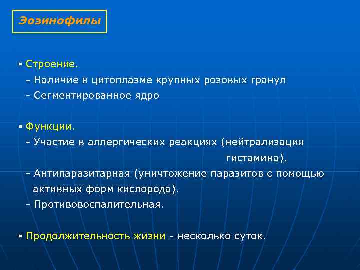 Эозинофилы ▪ Строение. Наличие в цитоплазме крупных розовых гранул Сегментированное ядро ▪ Функции. Участие