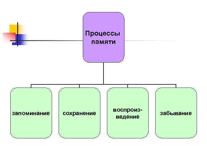 Запоминание сохранение забывание. Процессы памяти схема. Основные процессы памяти картинки. Перечислите функции памяти и процесса. Основные функции памяти с примерами.