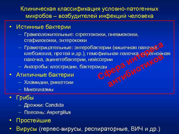 Клиническая классификация условно-патогенных микробов – возбудителей инфекций человека • Истинные бактерии – Грамположительные: стрептококки,