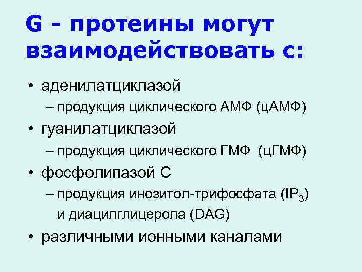 G - протеины могут взаимодействовать с: • аденилатциклазой – продукция циклического АМФ (ц. AMФ)