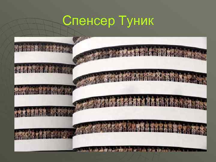 Спенсер Туник 