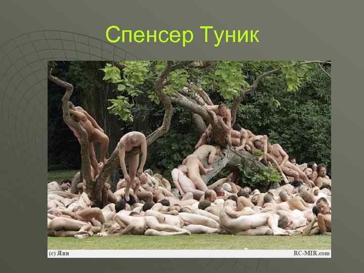 Спенсер Туник 