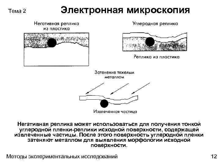 Тема 2 Электронная микроскопия Негативная реплика может использоваться для получения тонкой углеродной пленки-реплики исходной