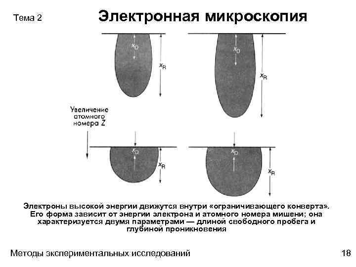 Тема 2 Электронная микроскопия Электроны высокой энергии движутся внутри «ограничивающего конверта» . Его форма