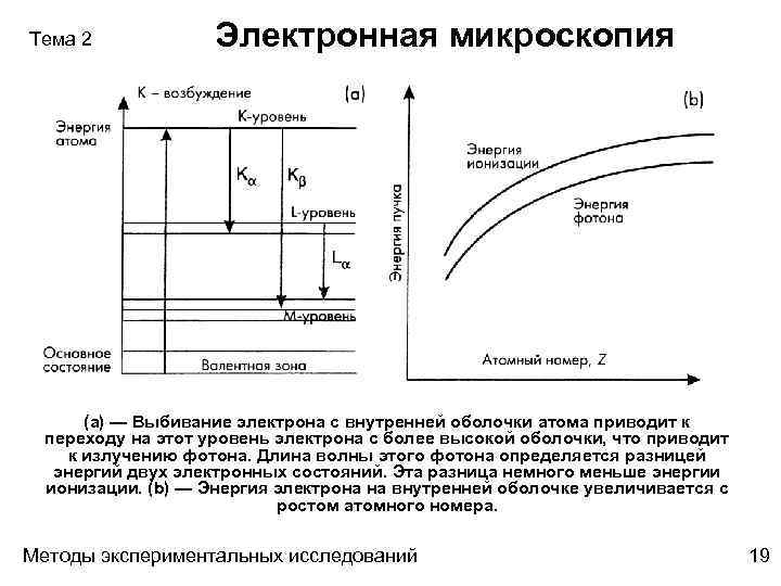 Тема 2 Электронная микроскопия (а) — Выбивание электрона с внутренней оболочки атома приводит к