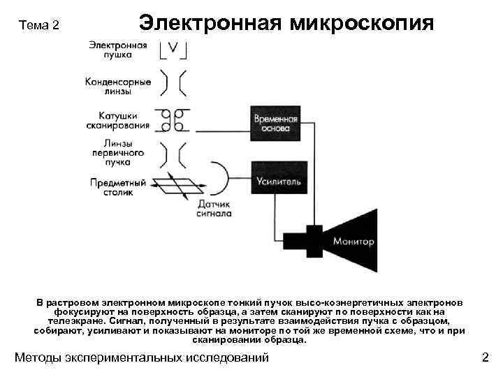 Взаимодействие электронного пучка с образцом