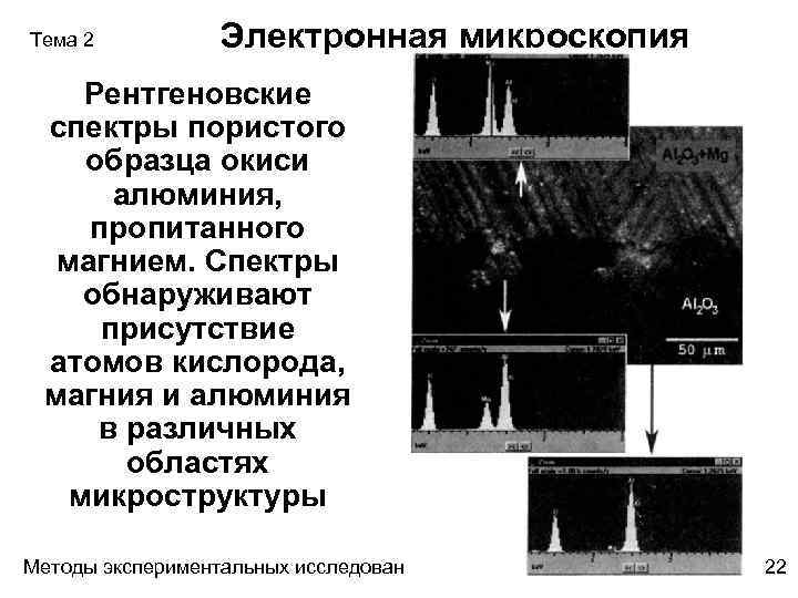 Тема 2 Электронная микроскопия Рентгеновские спектры пористого образца окиси алюминия, пропитанного магнием. Спектры обнаруживают