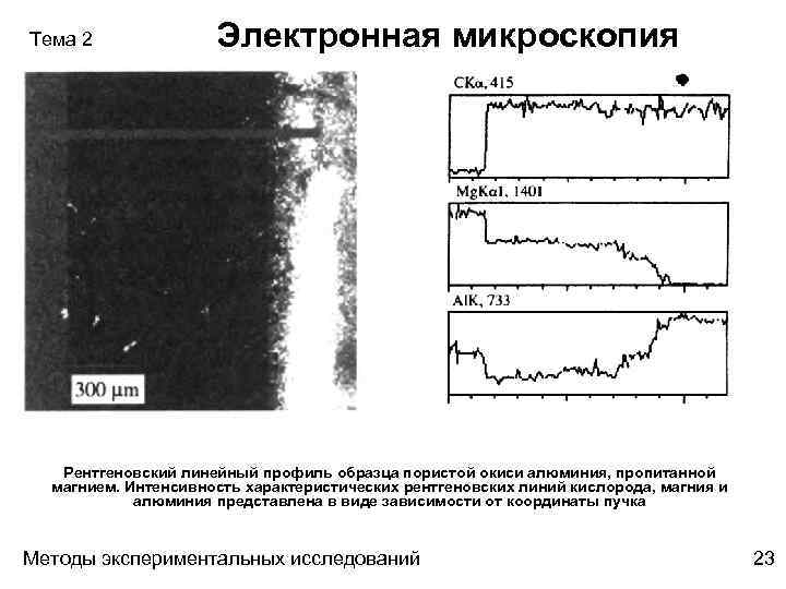 Тема 2 Электронная микроскопия Рентгеновский линейный профиль образца пористой окиси алюминия, пропитанной магнием. Интенсивность