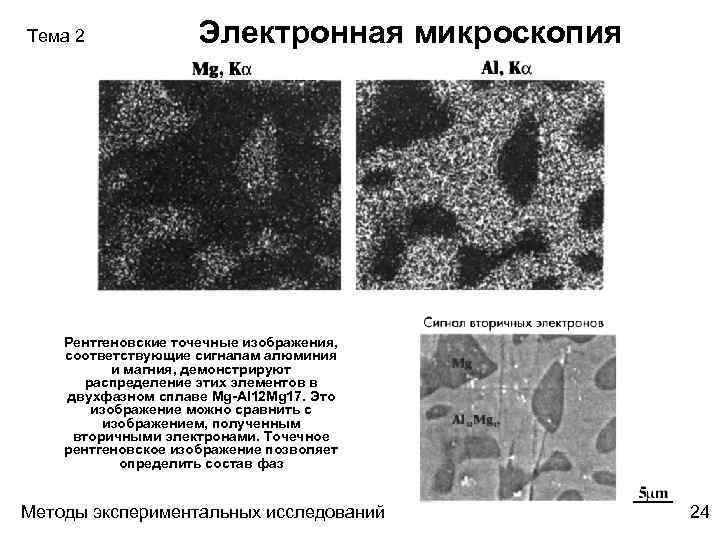 Тема 2 Электронная микроскопия Рентгеновские точечные изображения, соответствующие сигналам алюминия и магния, демонстрируют распределение
