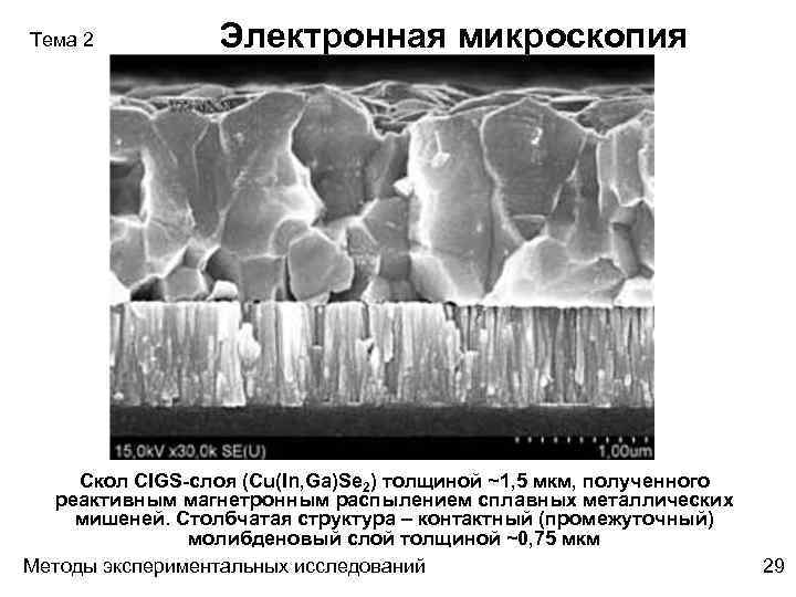 Тема 2 Электронная микроскопия Скол CIGS-слоя (Cu(In, Ga)Se 2) толщиной ~1, 5 мкм, полученного