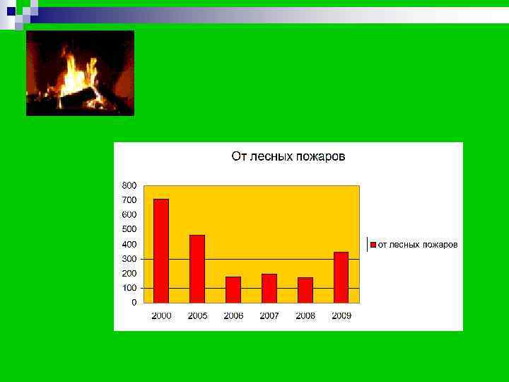 Выводы n Общая площадь лесов за последние 20 Выводы n Общая площадь лесов за последние 20