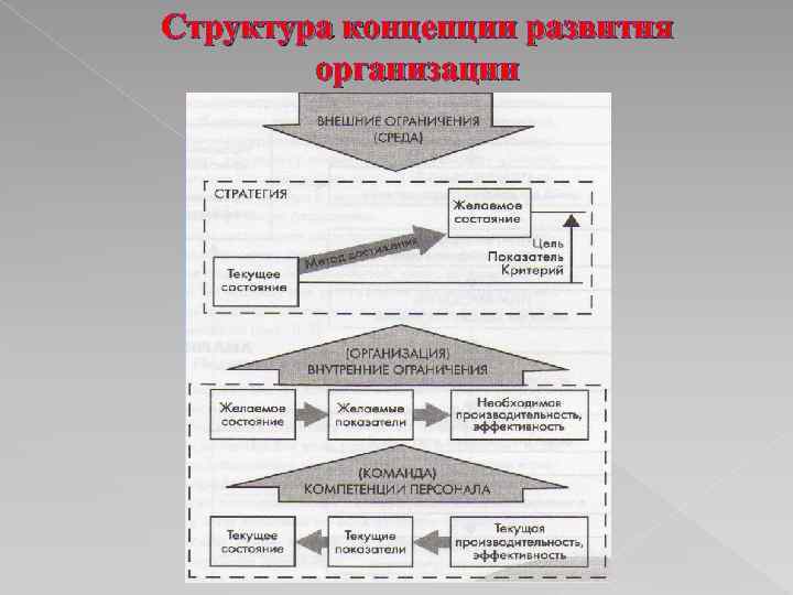 Структура концепции развития организации 