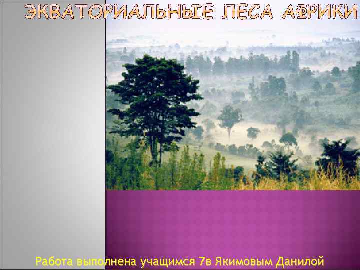 Работа выполнена учащимся 7 в Якимовым Данилой 