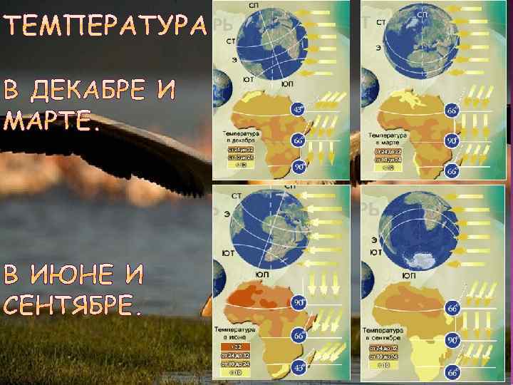  Красно-желтые  фералитные 