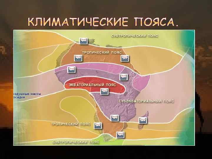   Горилла – крупные обезьяны из семейства человекообразных. Распространены в западных и центральных