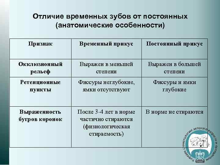 Чем отличается 90. Отличие временных зубов от постоянных. Отличия временного прикуса от постоянного. Основные признаки отличия временных зубов от постоянных.. Различия временных и постоянных зубов.