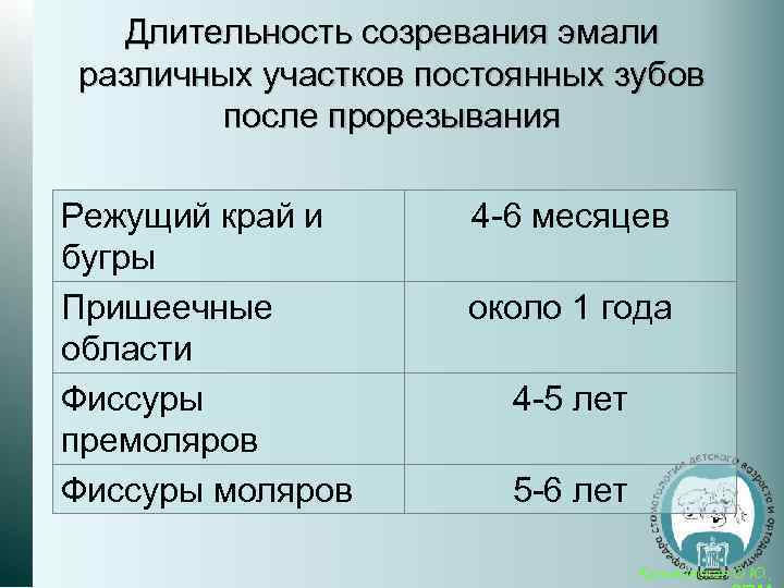 Длительность созревания эмали различных участков постоянных зубов после прорезывания Режущий край и бугры Пришеечные