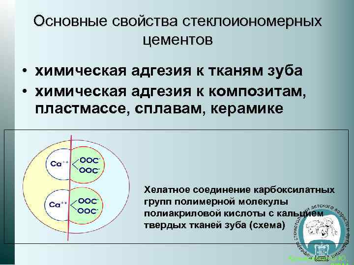 Основные свойства стеклоиономерных цементов • химическая адгезия к тканям зуба • химическая адгезия к