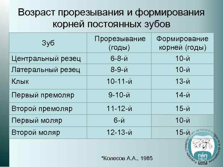 Возраст прорезывания и формирования корней постоянных зубов Прорезываниe (годы) 6 -8 -й 8 -9