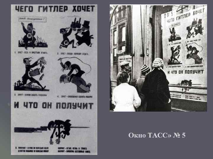 Окно ТАСС» № 5 