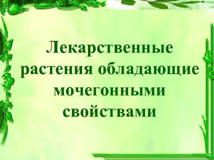 Лекарственные растения обладающие мочегонными свойствами 