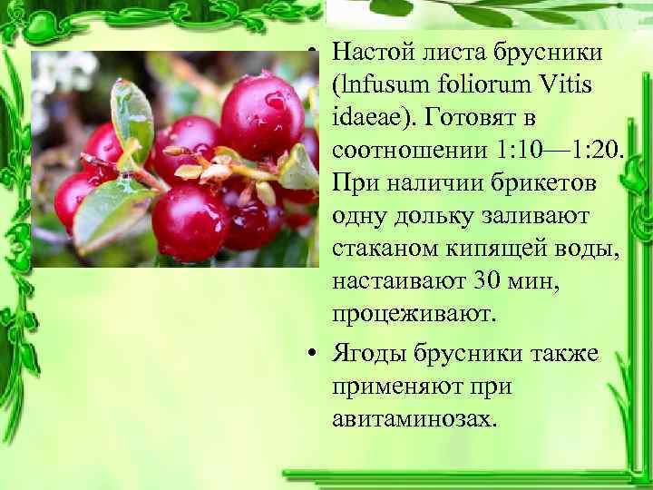  • Настой листа брусники (lnfusum foliorum Vitis idaeae). Готовят в соотношении 1: 10—