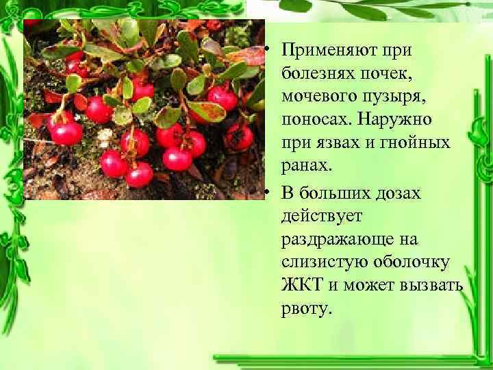  • Применяют при болезнях почек, мочевого пузыря, поносах. Наружно при язвах и гнойных