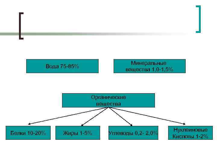 Минеральные вещества 1, 0 -1, 5% Вода 75 -85% Органические вещества Белки 10 -20%