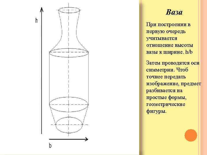 Ваза При построении в первую очередь учитывается отношение высоты вазы к ширине. h/b Затем