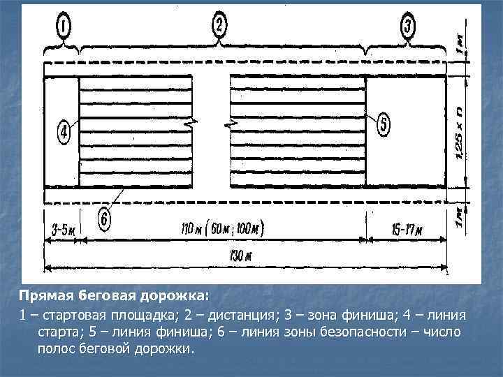 Прямая беговая дорожка: 1 – стартовая площадка; 2 – дистанция; 3 – зона финиша;