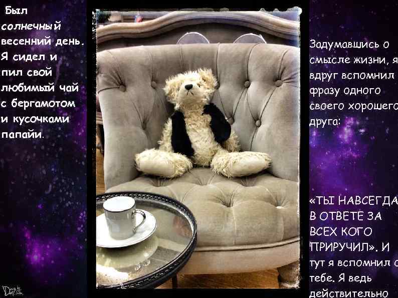 Был солнечный весенний день. Я сидел и пил свой любимый чай с бергамотом и